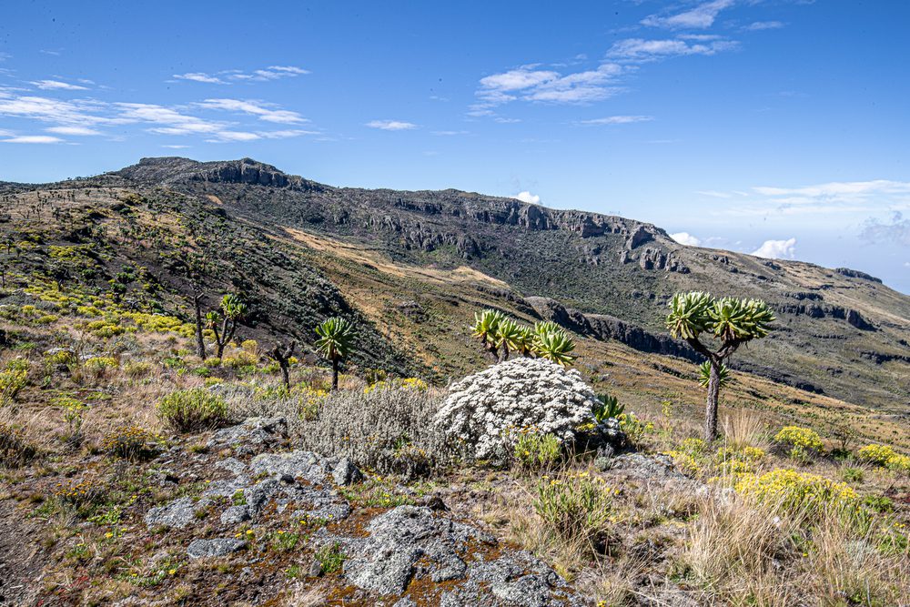mount-elgon-national-park
