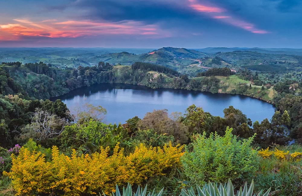 Why Uganda Should Be Your Next Safari Destination